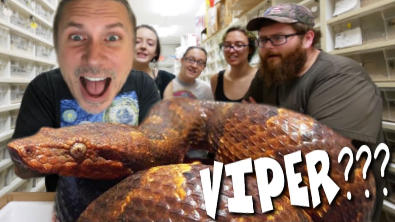 YOU WON'T BELIEVE THESE NEW SNAKES!! (UNBOXING) | BRIAN BARCZYK
