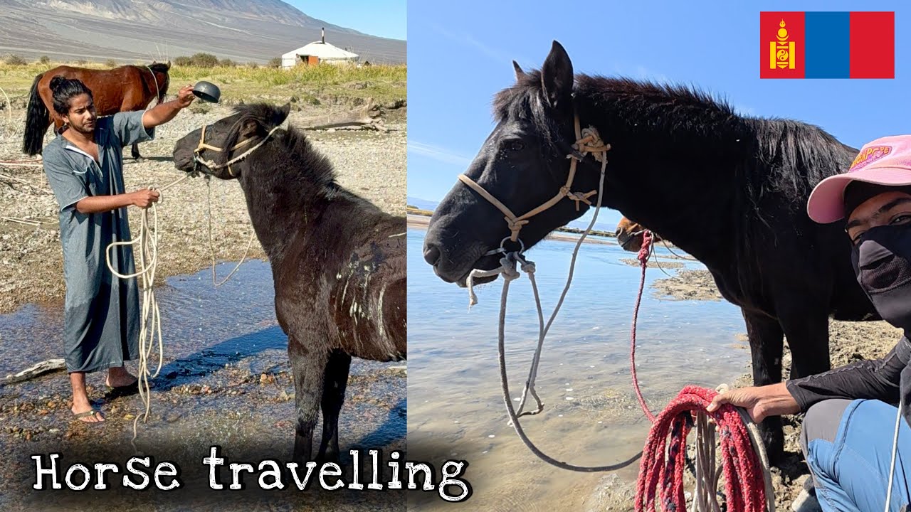 പാപ്പരാസിയെ പുഴയിൽ കുളിപ്പിച്ചു / travelling in horse - Mongolia 
