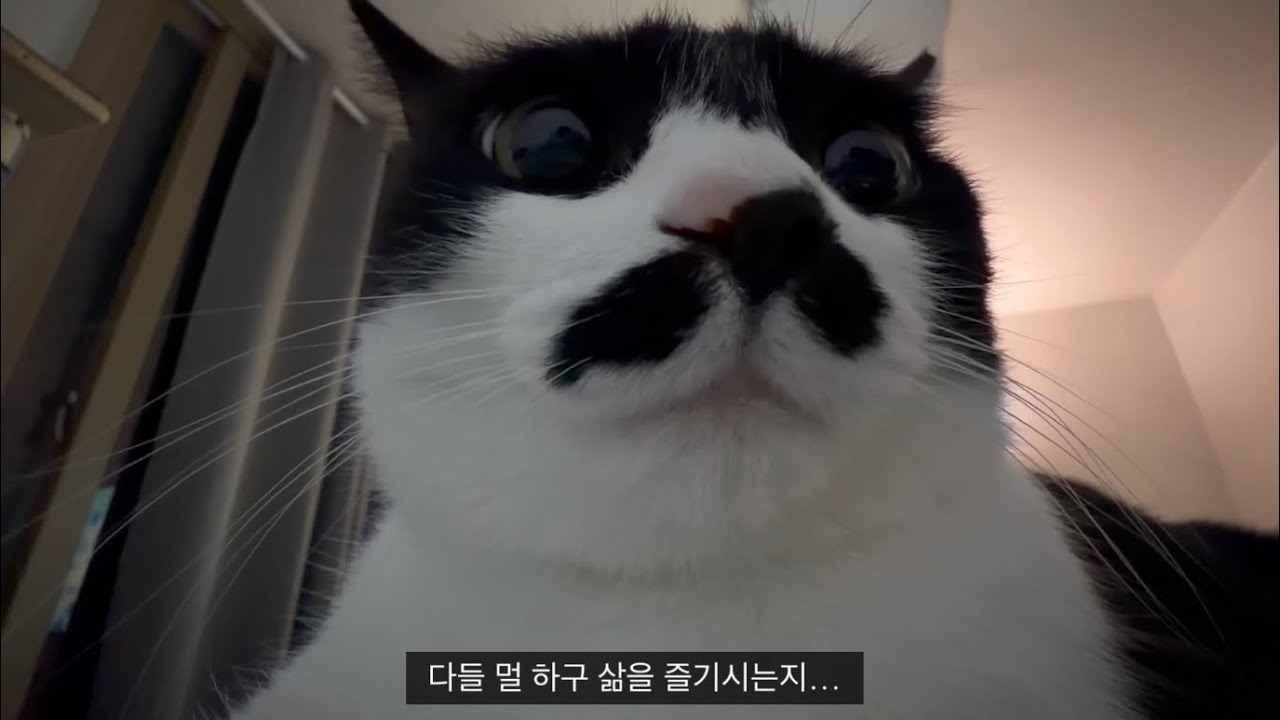 전기장판 틀어