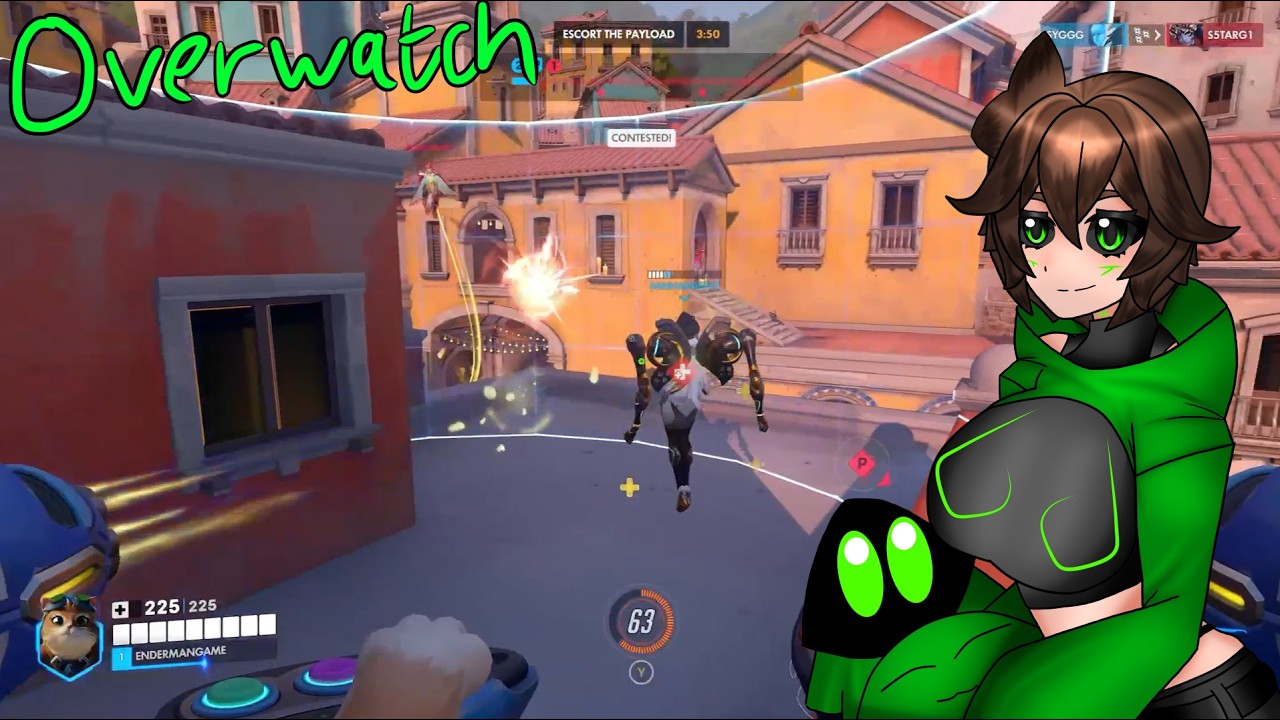 MANY NEW HEROS IN OVERWATCH