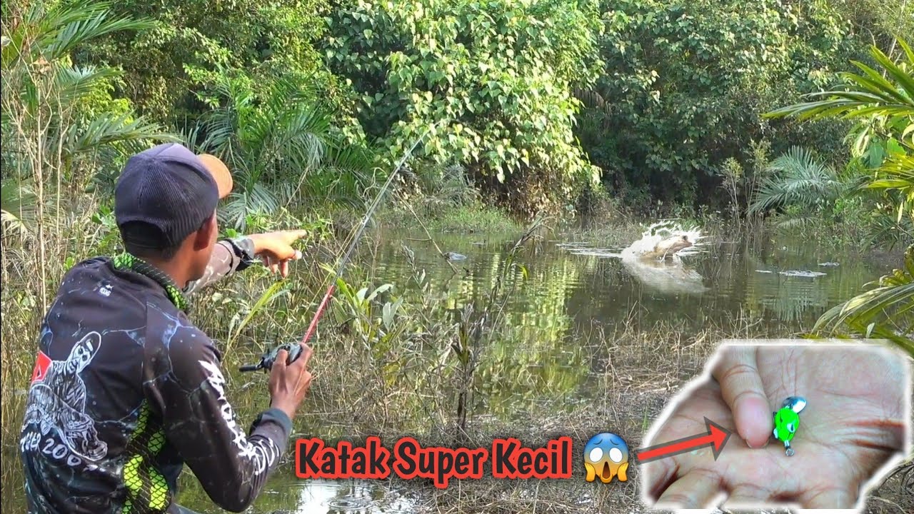TANTANGAN !!! Mancing Pakai Katak Yang Sangat Kecil 😱