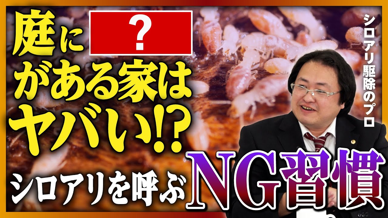 【大量発生】庭に◯◯がある家は危険!? シロアリを呼び寄せるNG習慣を駆除のプロが解説! #楽待トーク建築学