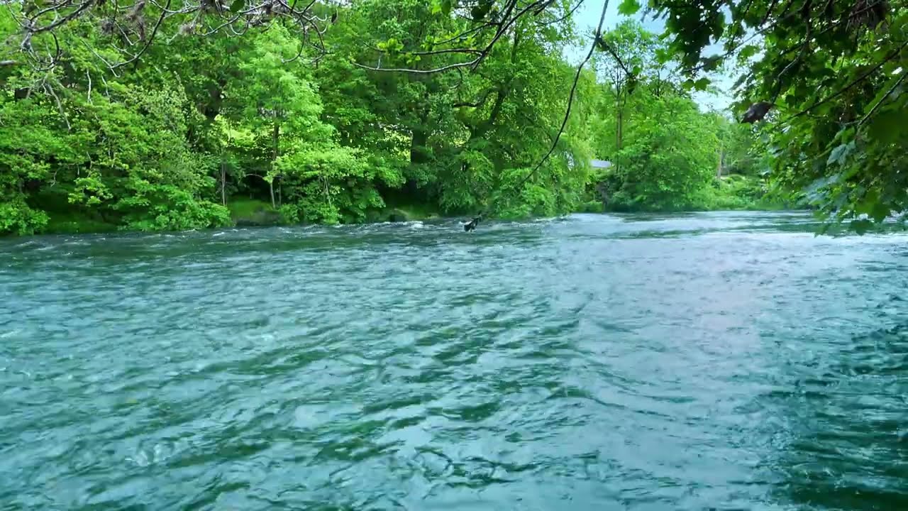 4K Turquoise River Flowing Water Sounds (No Birds) | 10H of River White Noise for Sleep, Relaxation.