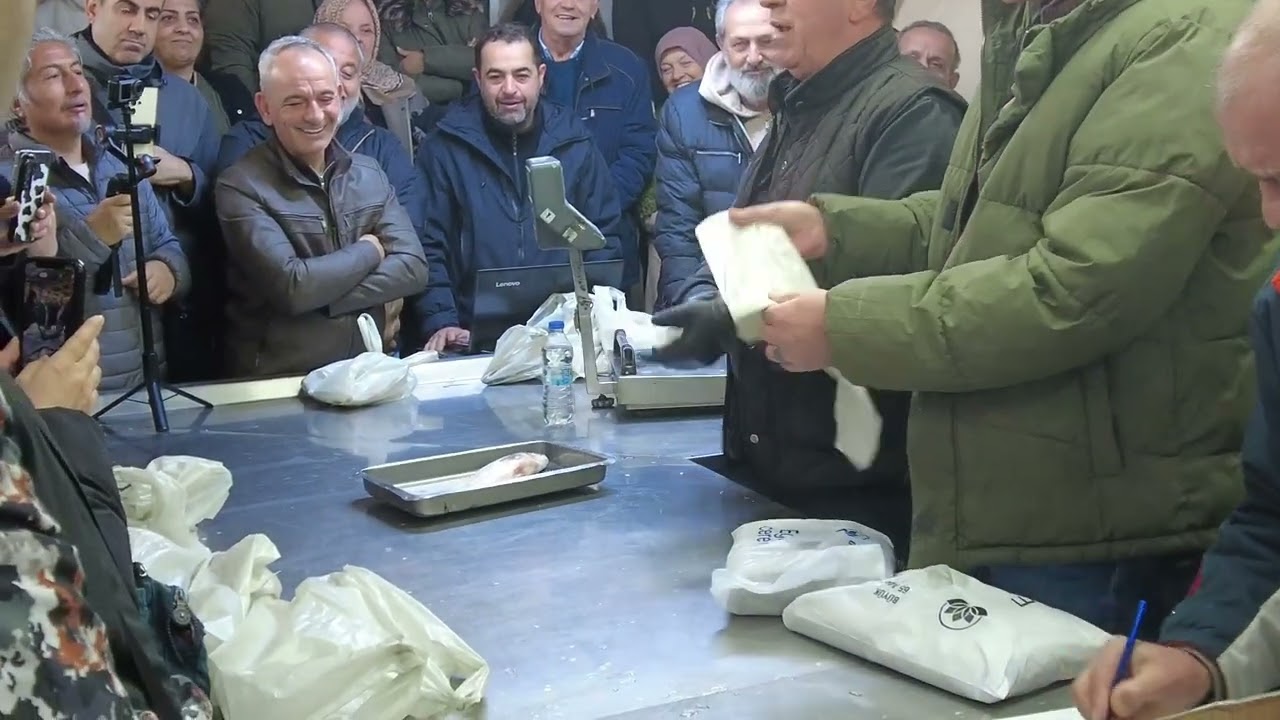 15.02 MAVİŞEHİR MEZATI / BALIKLARIN HEPSİ TÜKENDİİ / #fish #balık #mezat