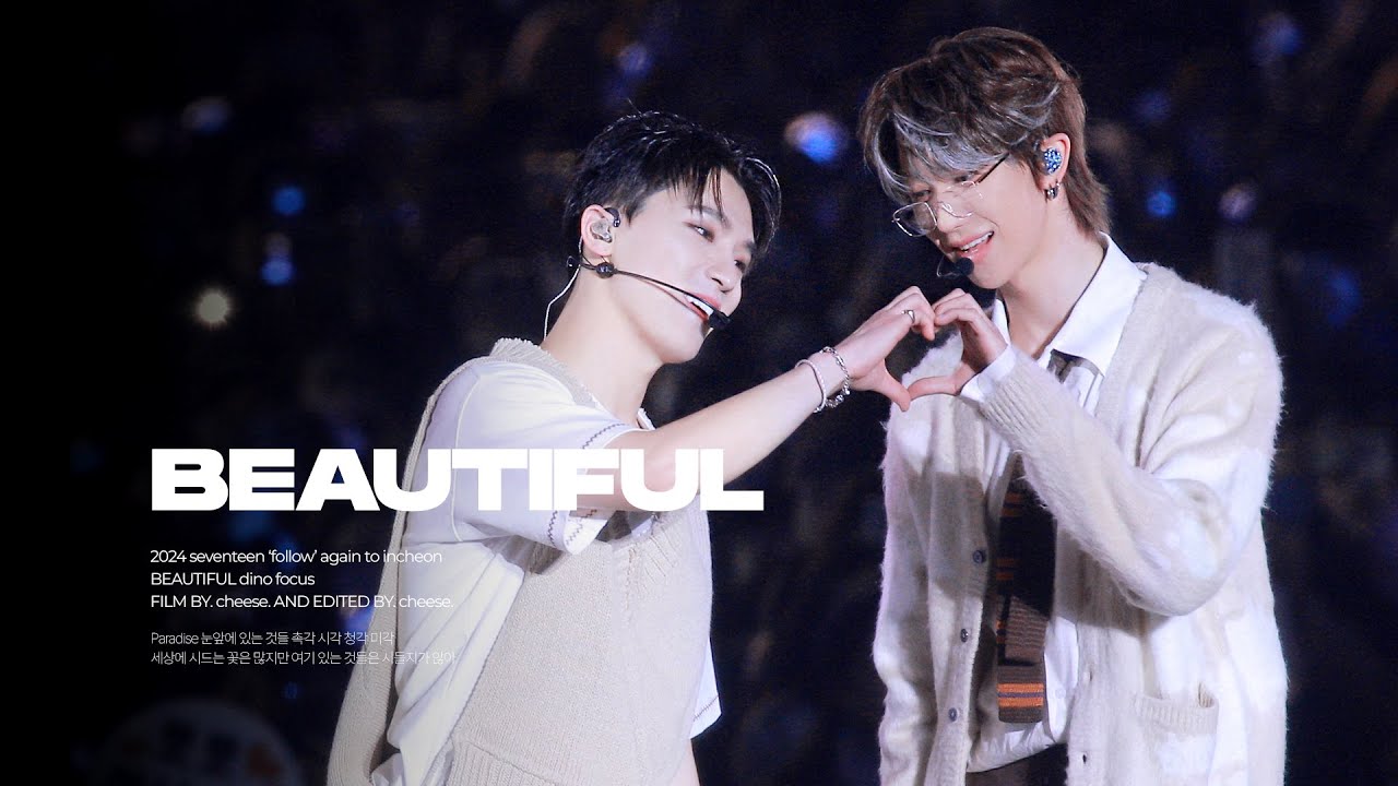 2024 세븐틴 SEVENTEEN 'FOLLOW' AGAIN TO INCHEON  - BEAUTIFUL / DINO 디노 FOCUS 직캠