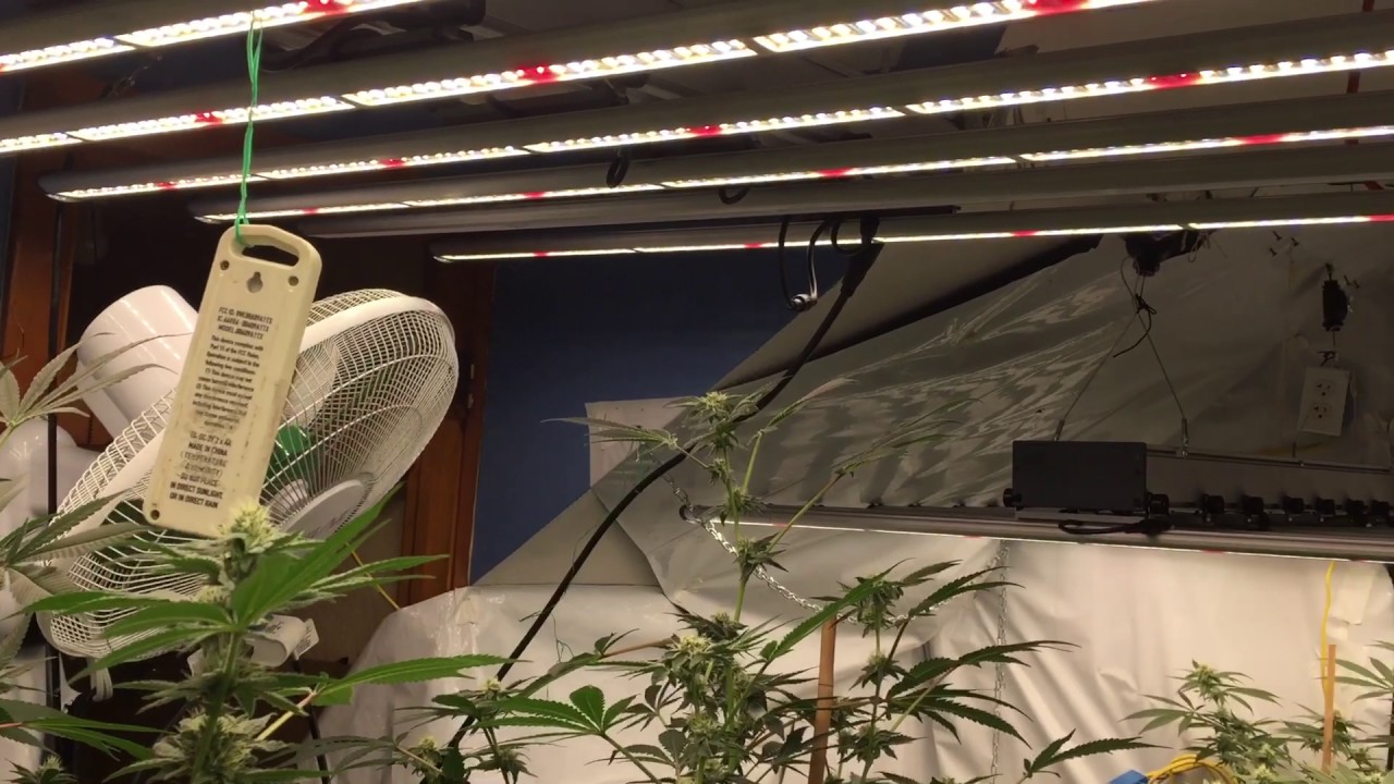 Fluence bioengineering spydr disappointing install