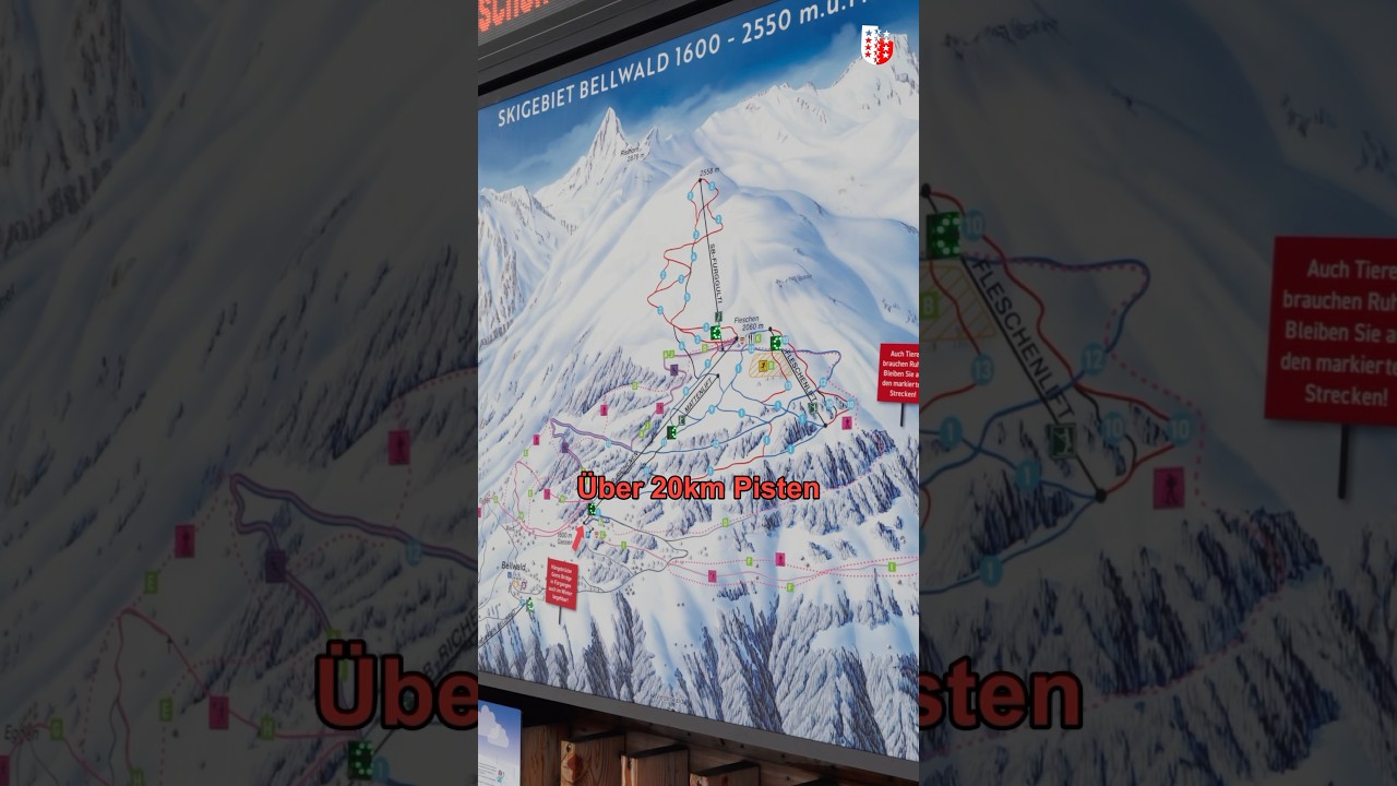 Bellwald | Goms | Wallis - Valais | Switzerland