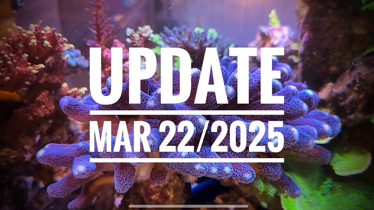 CADE 1500 S/P Update for March 22, 2025
