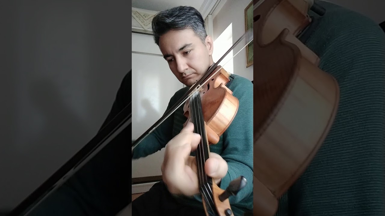 Sultani Yegah Sirto (keman)🎻