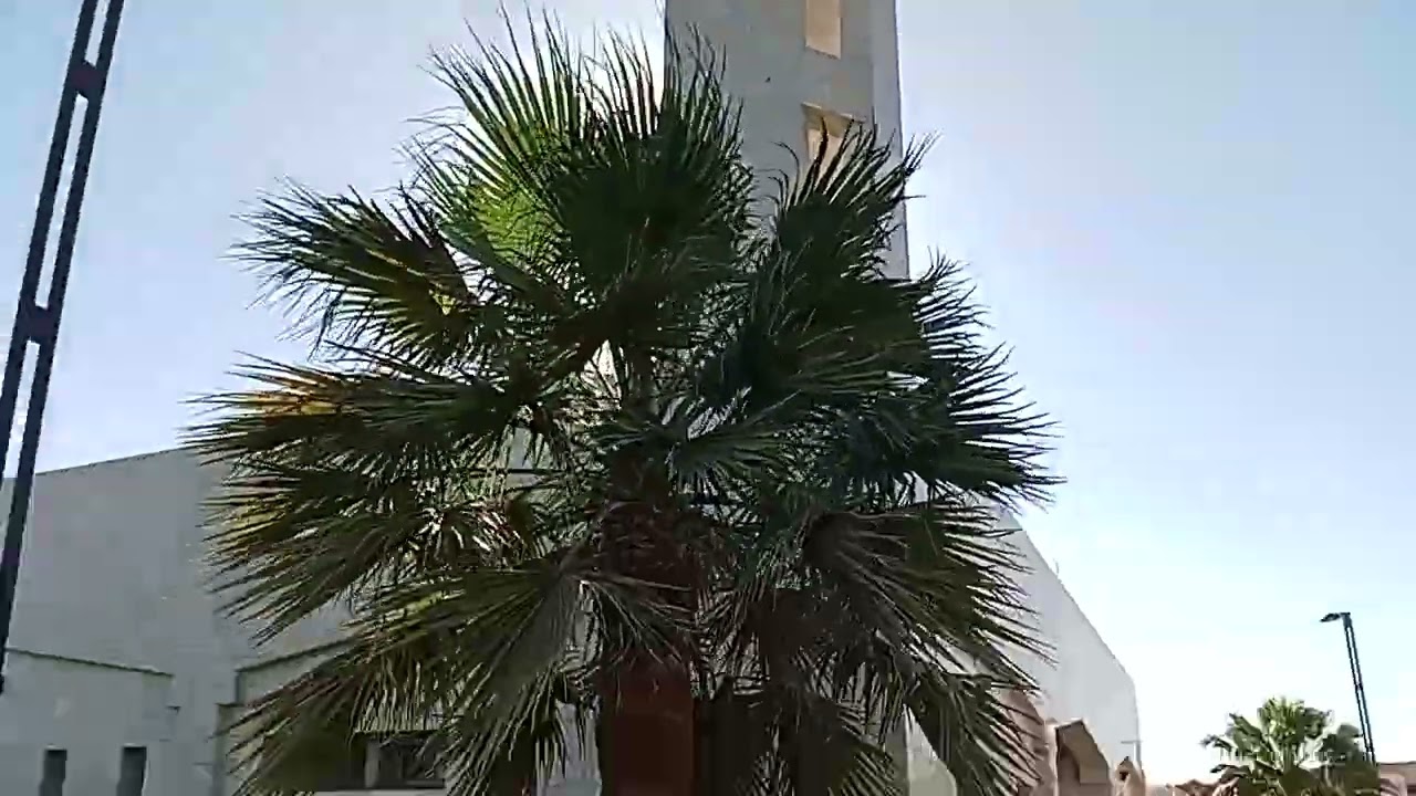 BEAUTIFUL GARDENS 