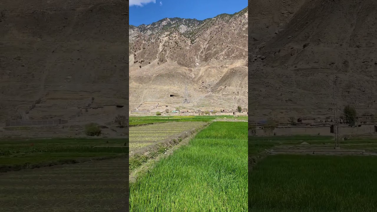 Agricultural land green land | most beautiful places in chitral and gilgit | view of  nature |