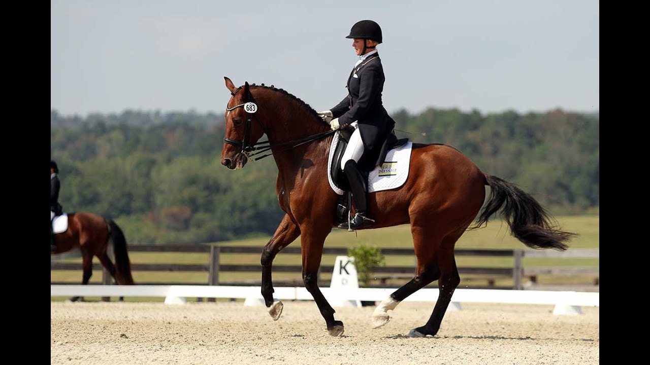 Little Do You Know~Jumping/Dressage Music Video