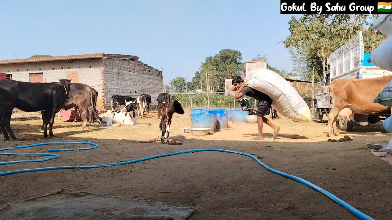 Cutti Khatam Ho Gaya Kholne Ja Rahe Hai 😍