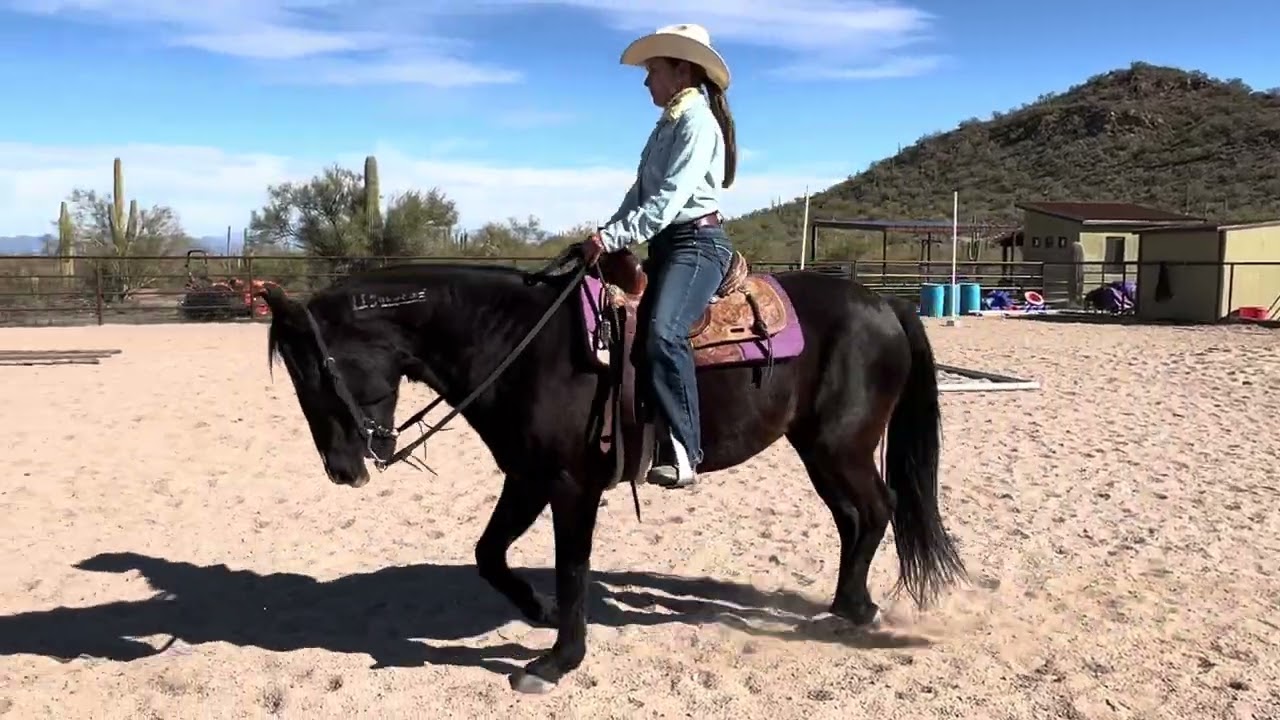 Class #122 February WJ Ranch Trail- RCR Harley/Nicole Olmedo
