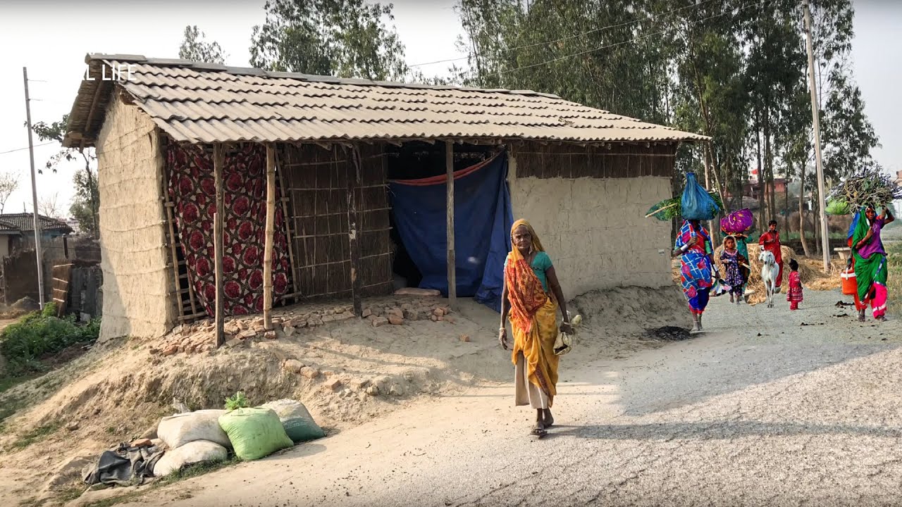 Living A Natural Life Of Rural Village In Terai Region In Nepal || Countryside Daily Life