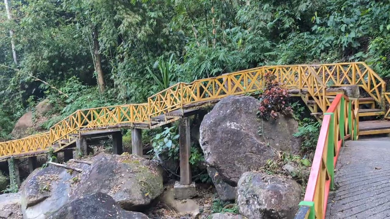 Langkawi jungle