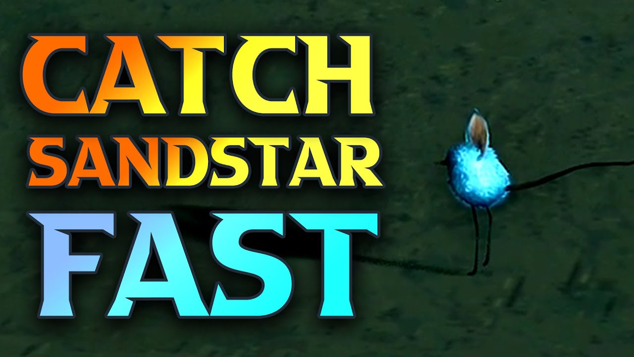 EASILY Catch A Sandstar - Monster Hunter Wilds Sandstar Location