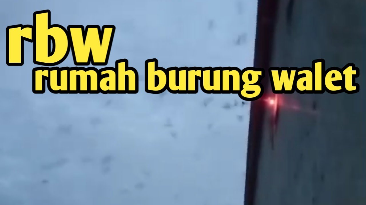 mantau rbw. rumah burung walet...