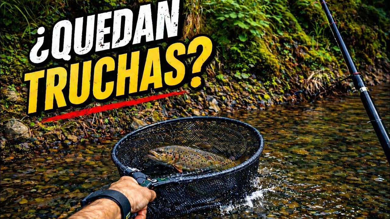 ¿Siguen quedando truchas en este arroyo salvaje?