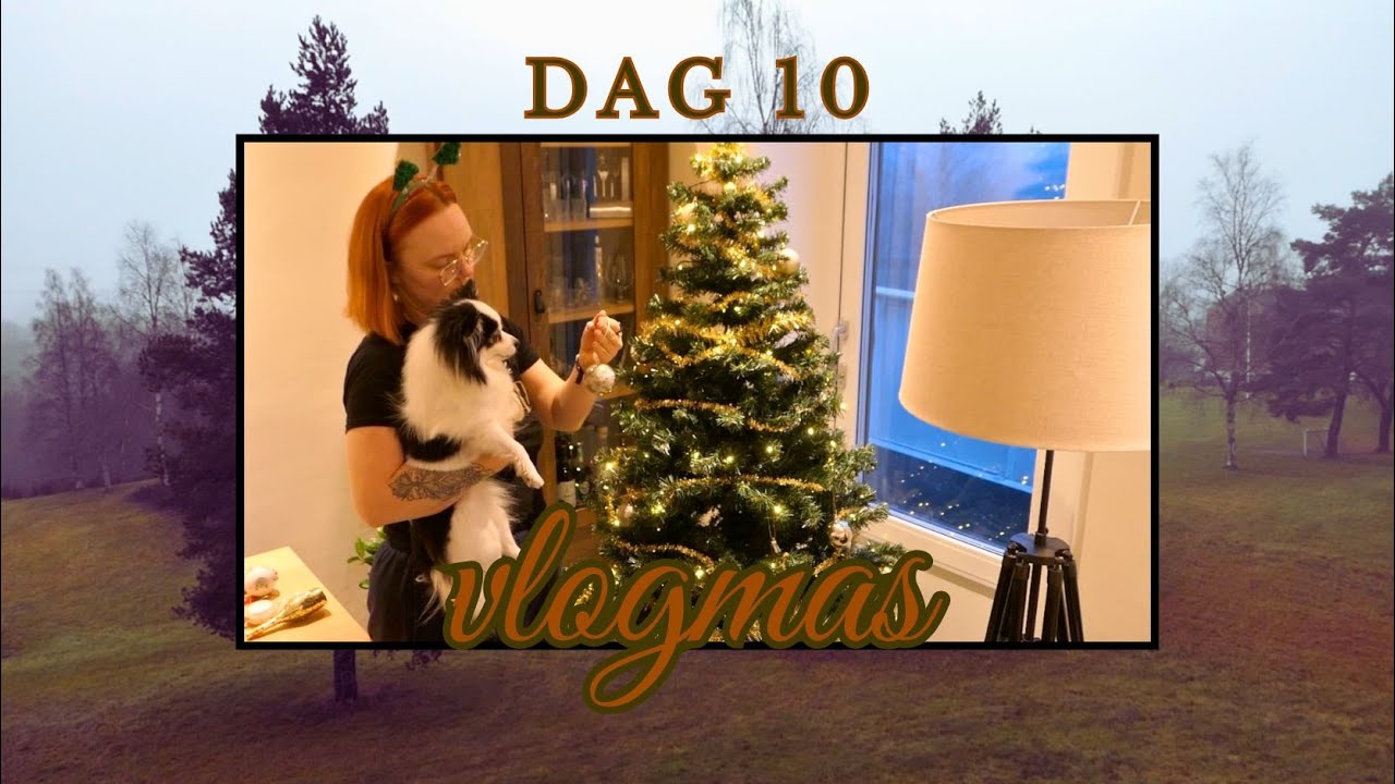 Pynter Endelig Juletreet & Vepsebol Inne / Vlogmas 10