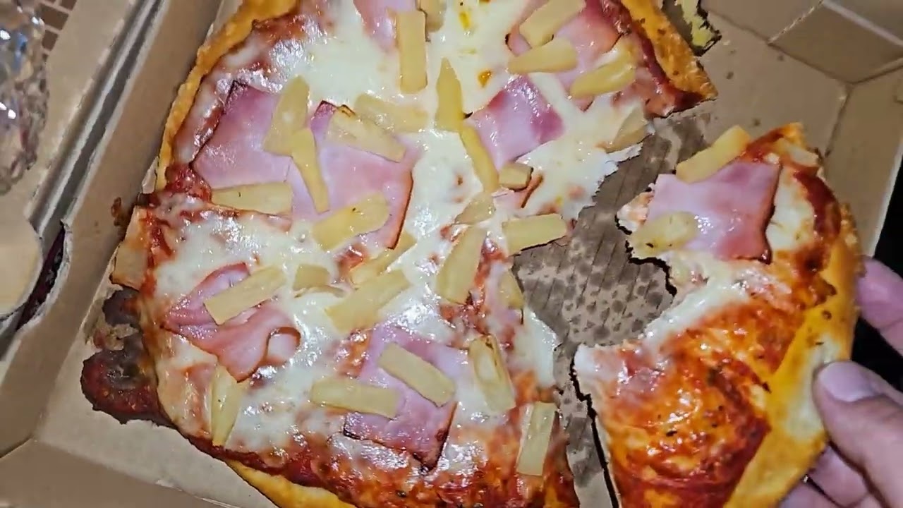 Too Good To Go Catalano's pizza reveal and review, was it worth it buying from T.G.T.G?