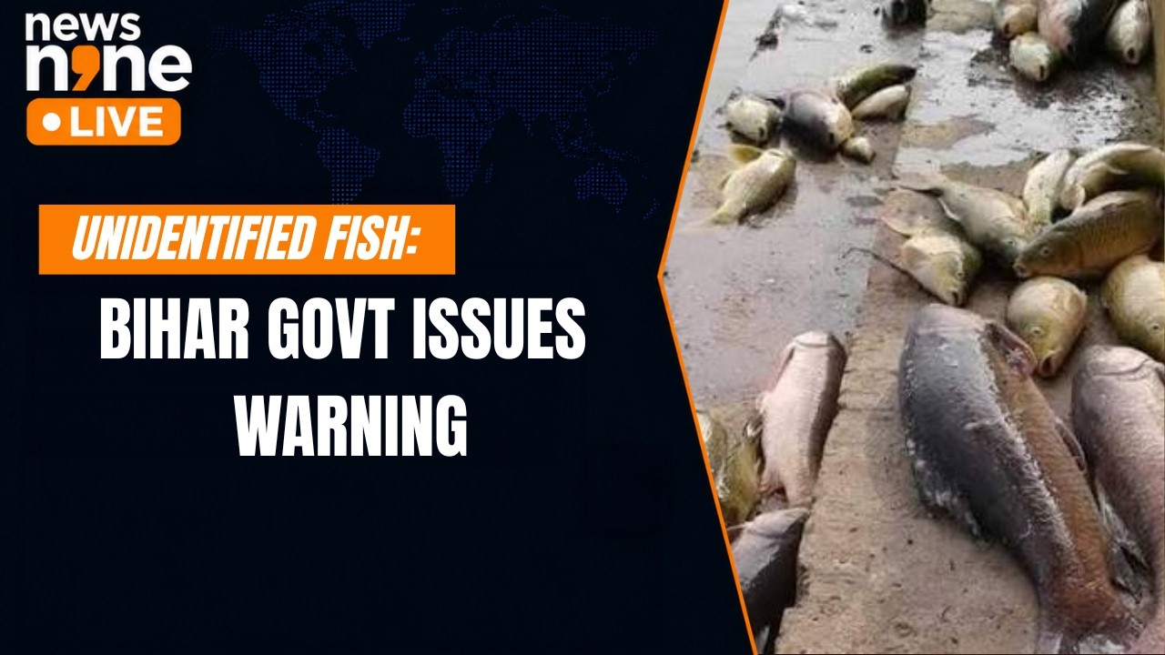 Bihar Fish Warning After Nepal Floods: Govt Issues Public Advisory | News9