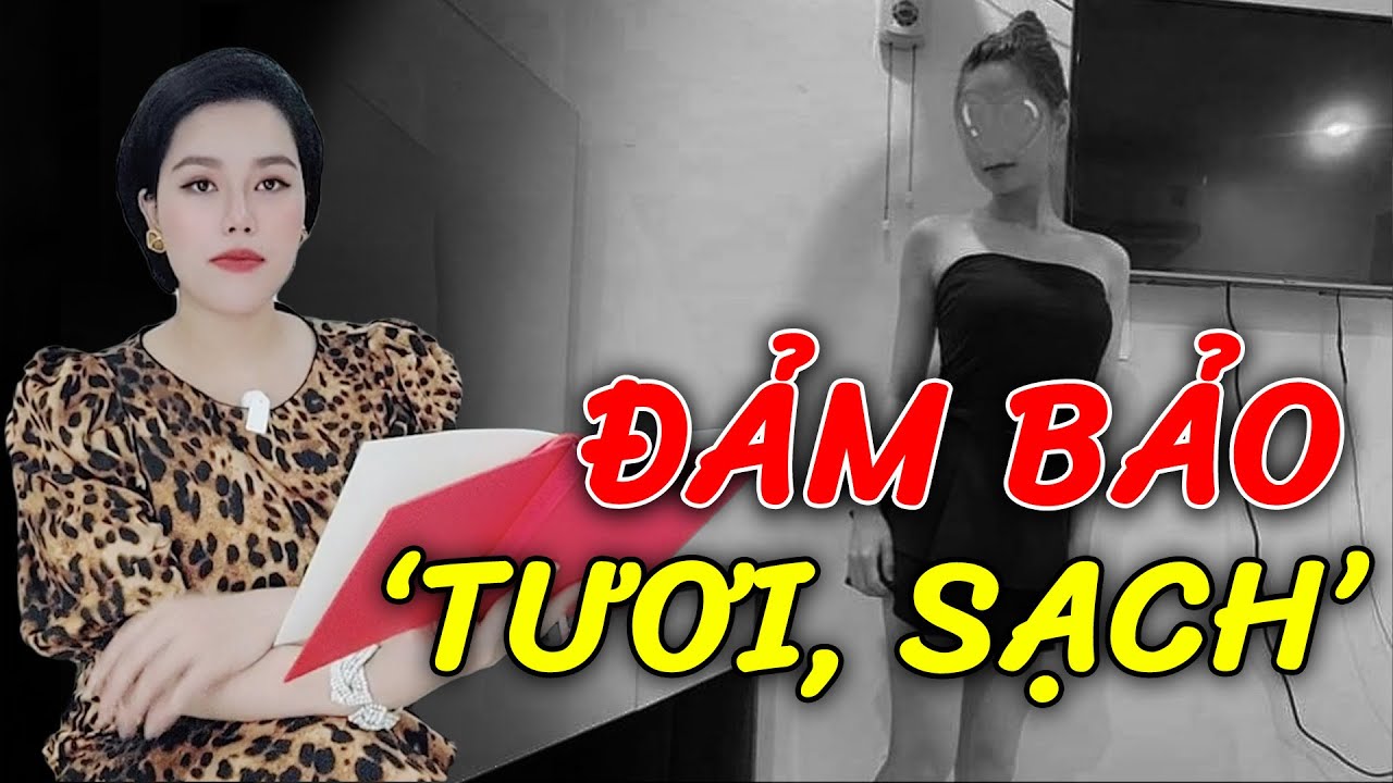 66 phút thư giãn NGHE ĐIỀU TRA DỊCH VỤ những em HÀU NON tươi, sạch không dễ HÚP | Ký sự | Trắng đêm