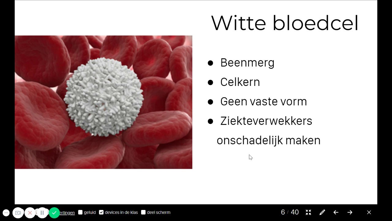 2HVG - BvJ - T3 - Bloedsomloop
