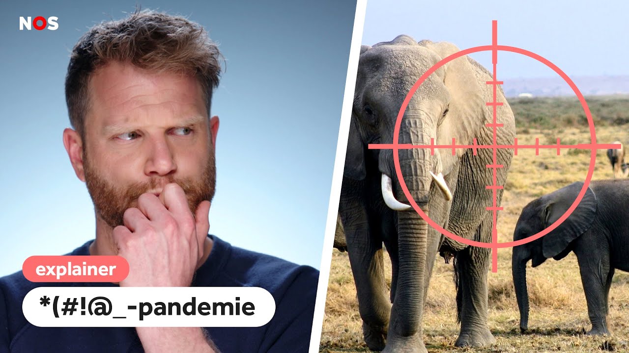 Hoe het dierenrijk bloedt