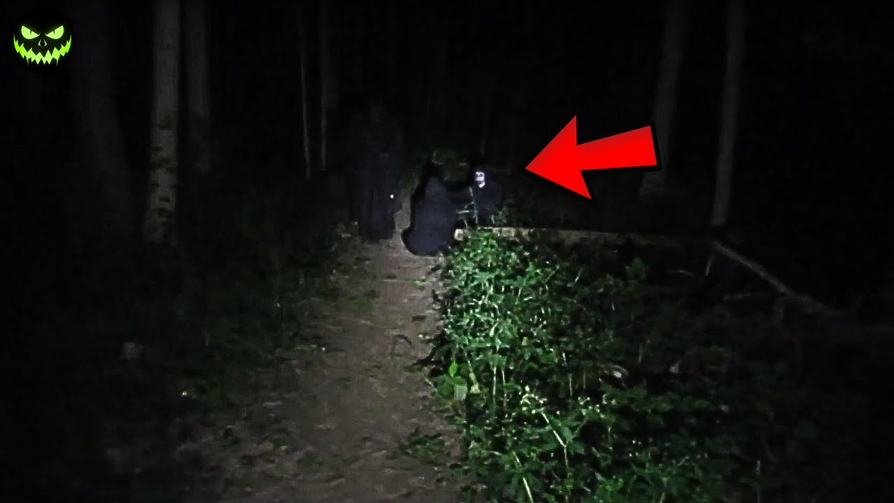 Nunca V&aacute; Sozinho &agrave; Floresta... 5 Momentos de Puro Terror em Florestas!