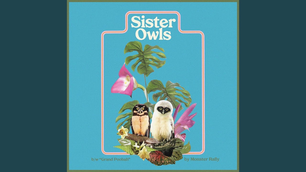Sister Owls