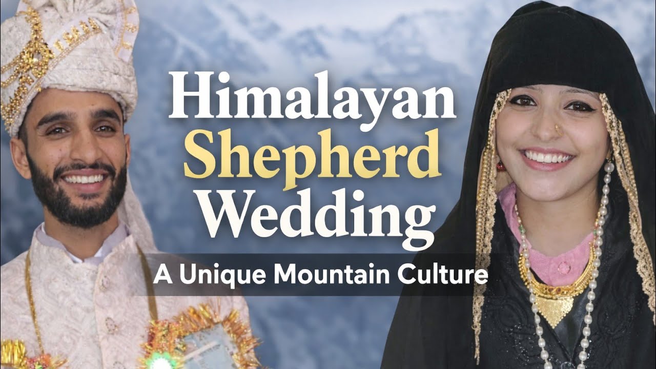 Village Wedding Of Nomads || Unique Marriage Culture Of Bakarwal Brothers 