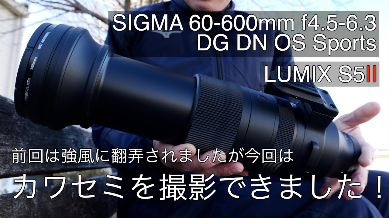 【SIGMA超望遠レンズ】SIGMA60-600mm f4.5-6.3 DGDNで野鳥撮影