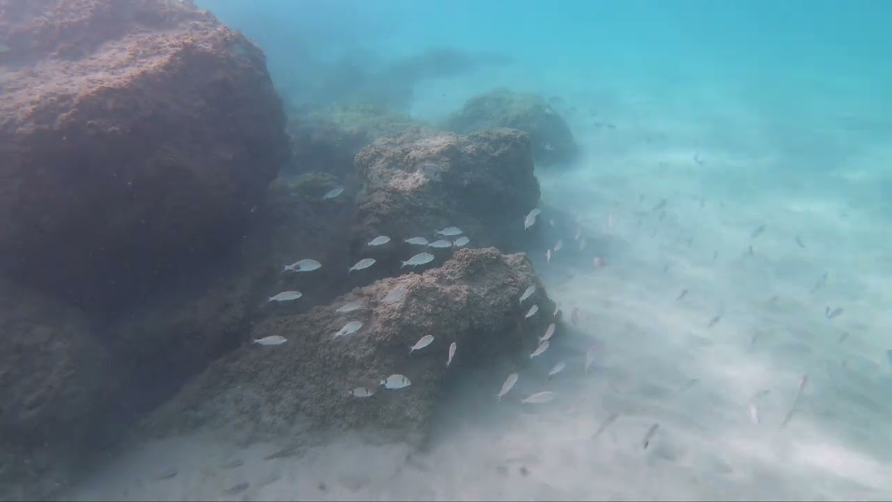 Salou snorkeling