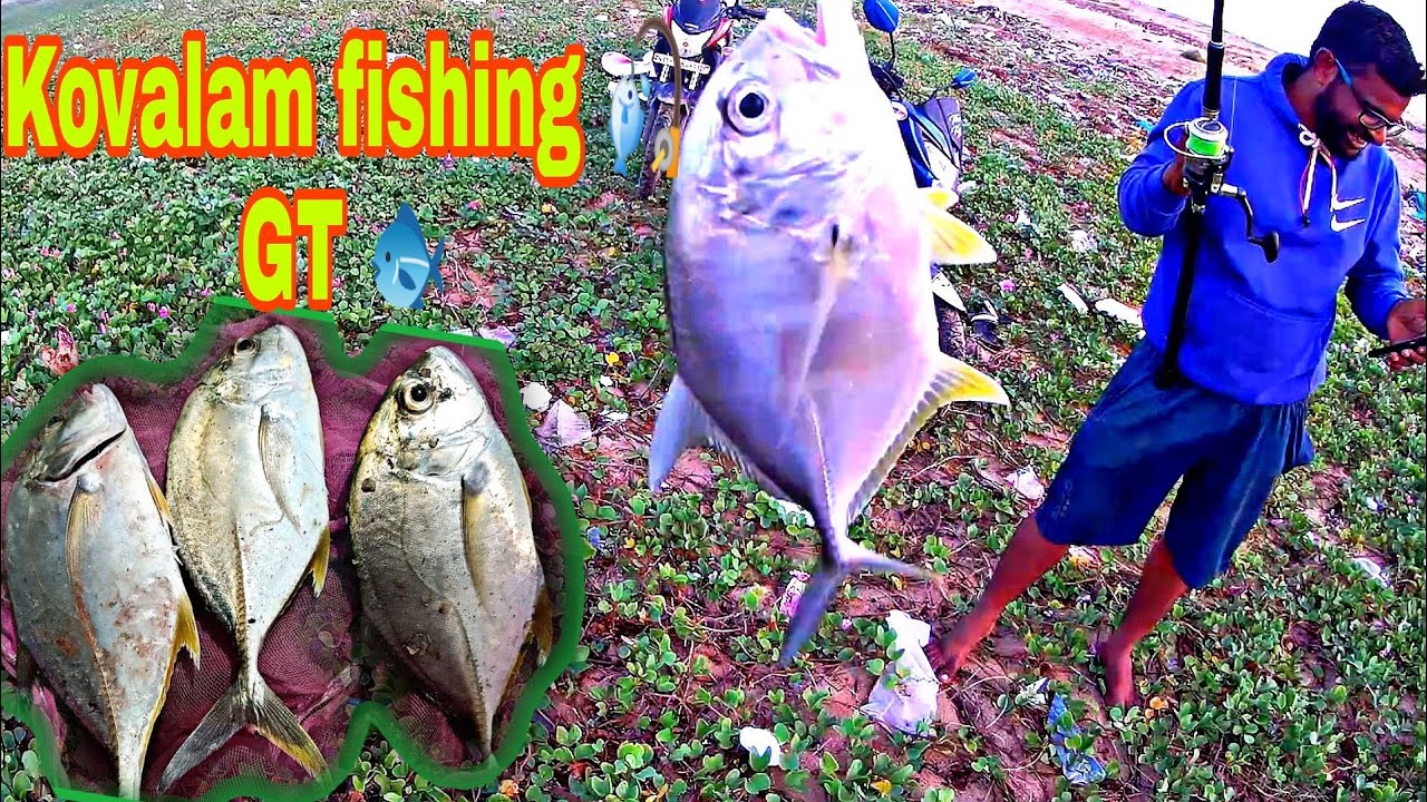 🎣 catching GT fish (பாறை மீன்) in Kovalam beach |  also cover  barramundi catching 🎣 #gtfishing #GT🐟