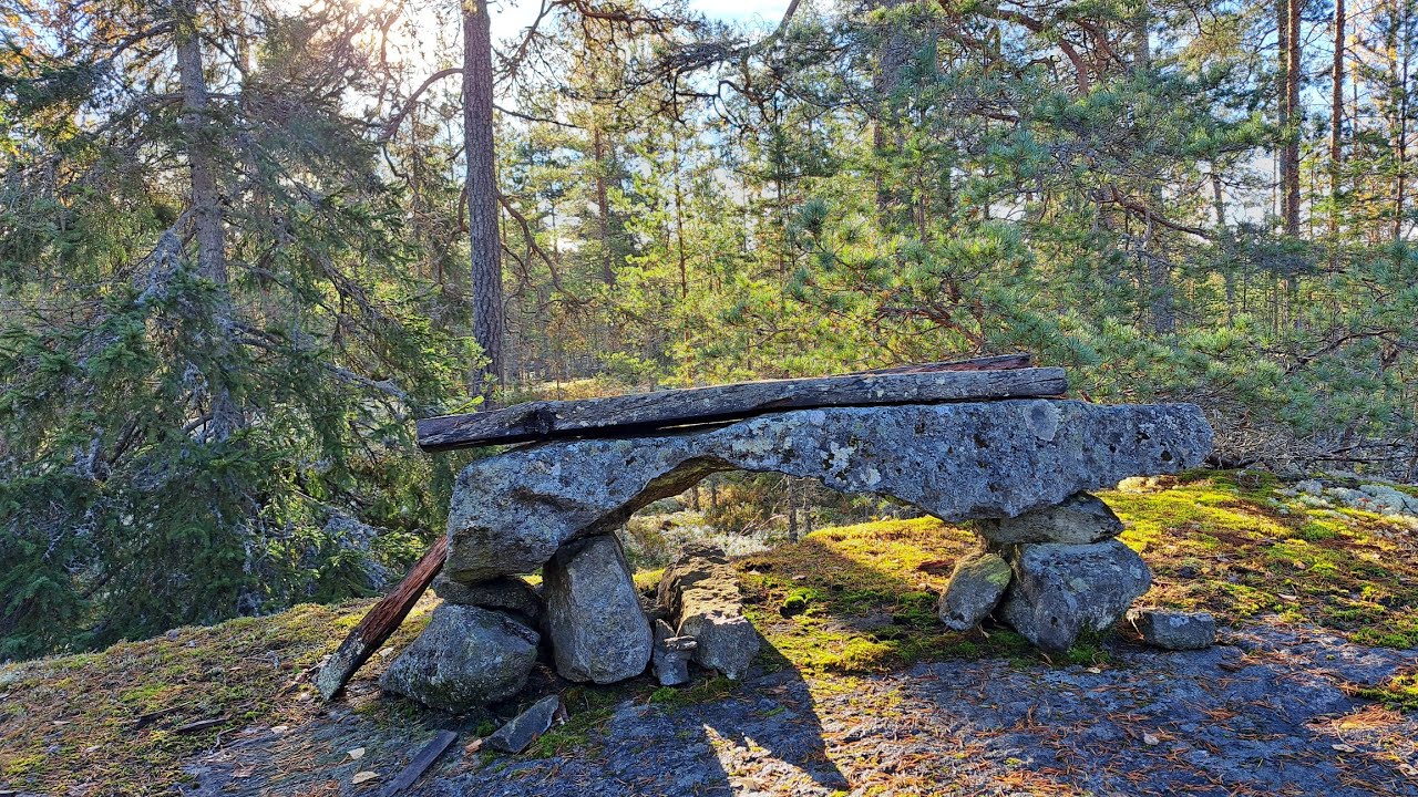 Metsä ja luola | Pirunkirkon patikan pohjoisosa