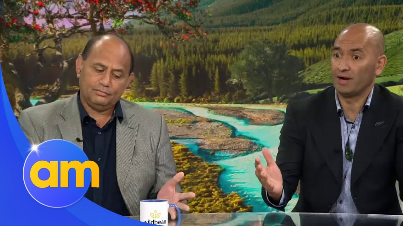 'Not a free ATM card': Taxpayers won't bear cost of saving Newshub, minister says | AM
