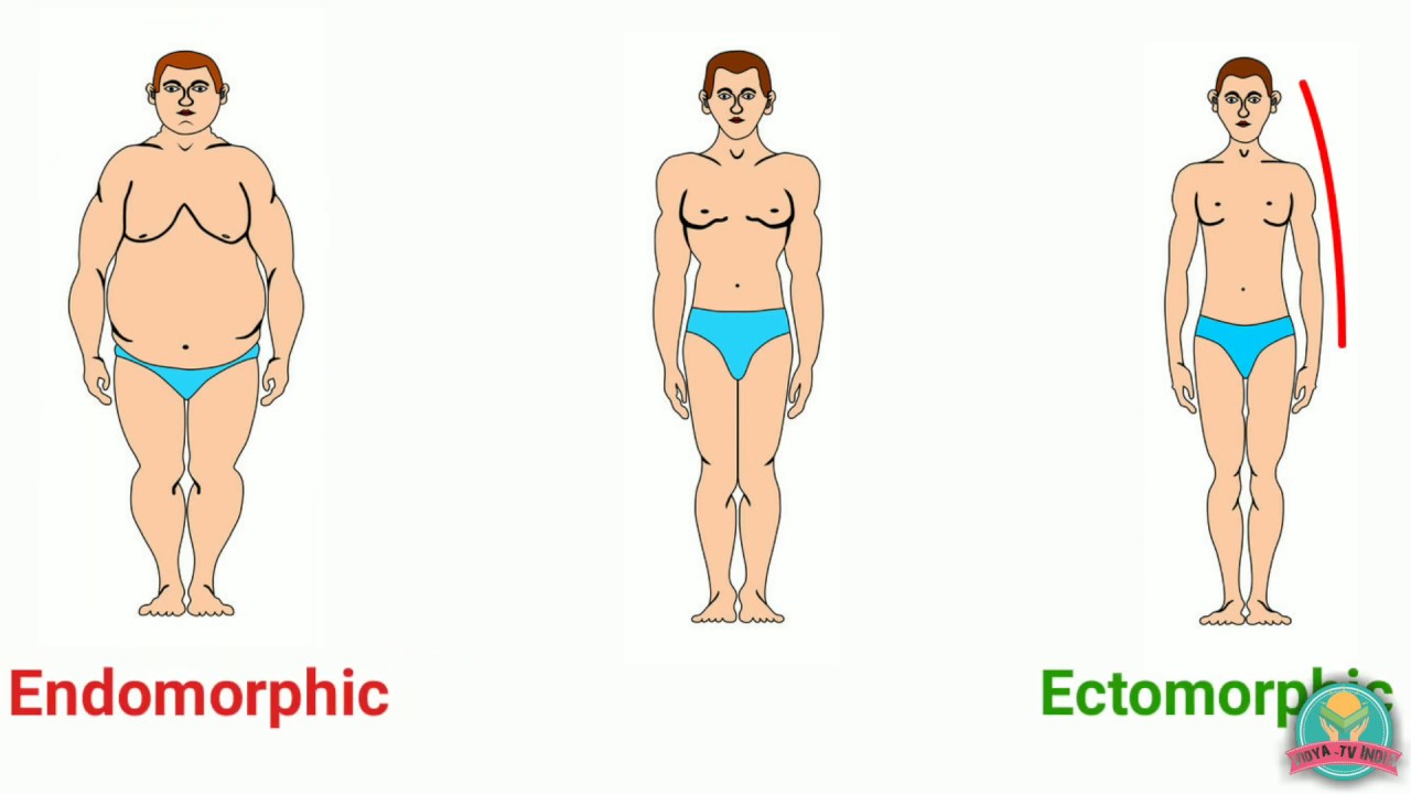 Sheldon's Personality Theory - Explained in a very simple and attractive way.
