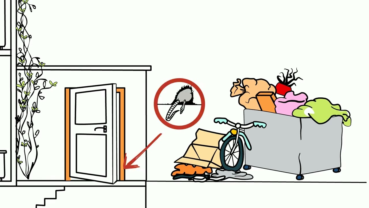Sådan undgår du rotter i etageejendomme