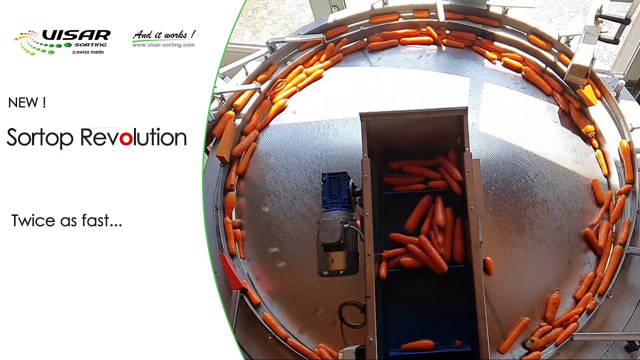 Visar Sorting S&agrave;rl &ndash; Sortop Carrots &ndash; new rotative feeding system highly increases sorting capacity