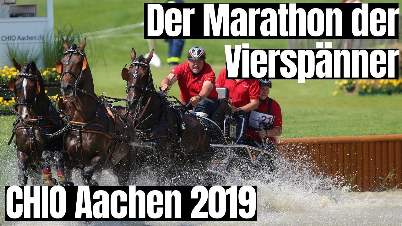 Der Marathon der Vierspänner 🔝 | Ein echtes Highlight beim CHIO Aachen 2019