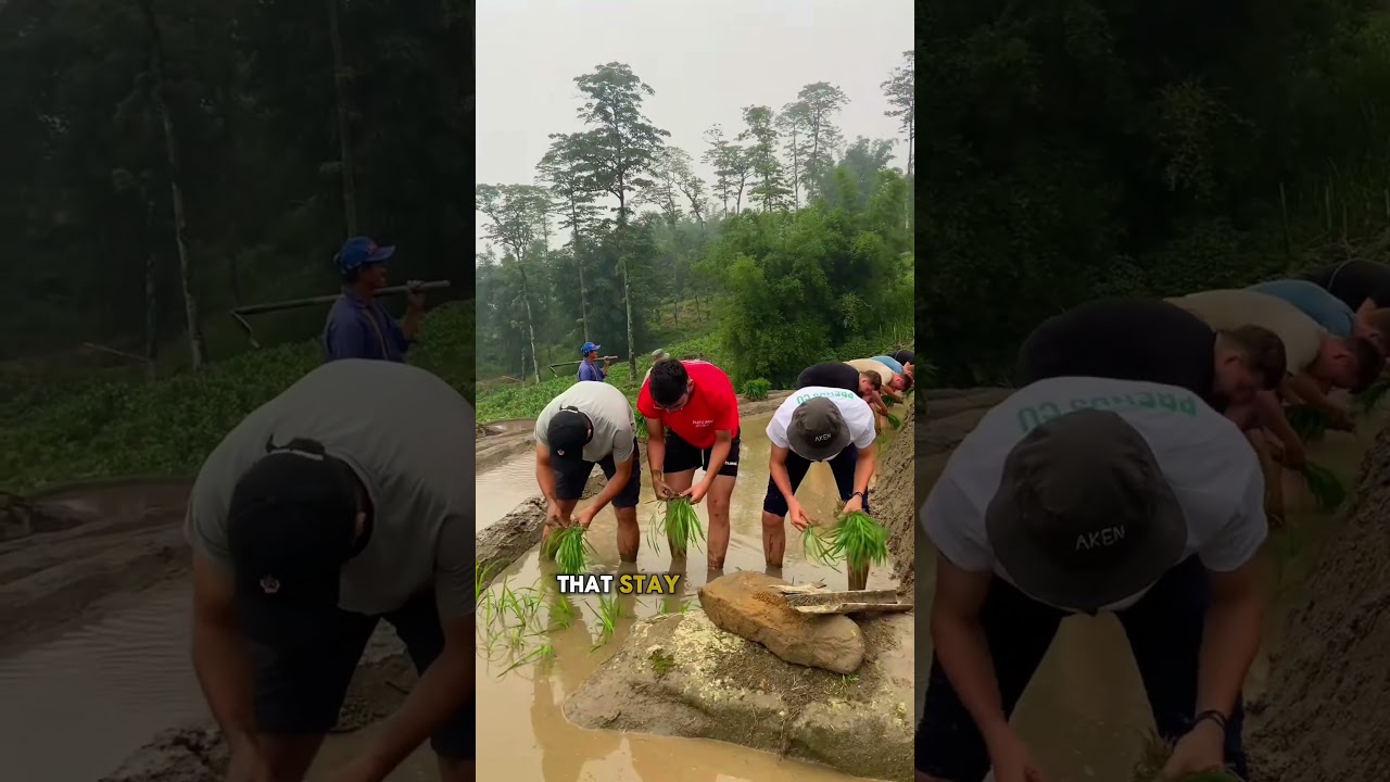 Sapa Village Homestay Experience – Real Local Life in Vietnam