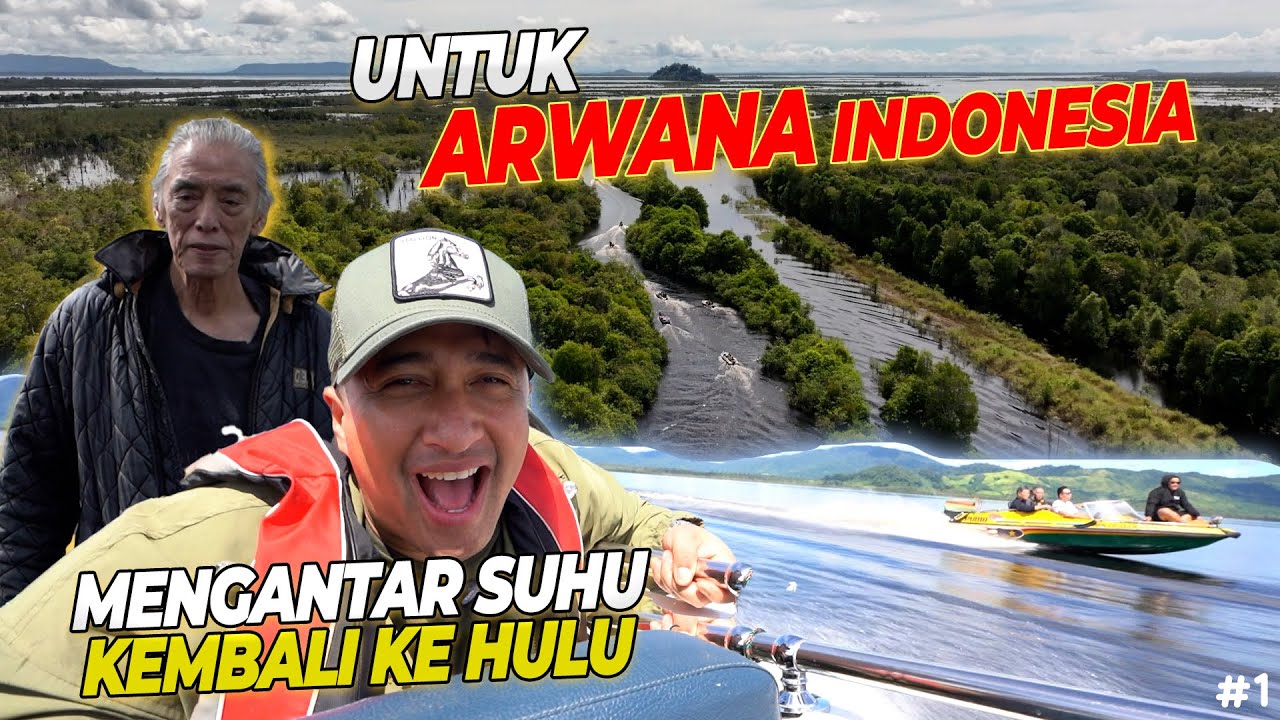 #1 MENGANTAR ARWANA KE DANAU SENTARUM..!! RENCANA DUA TAHUN AKHIRNYA TERWUJUD !!