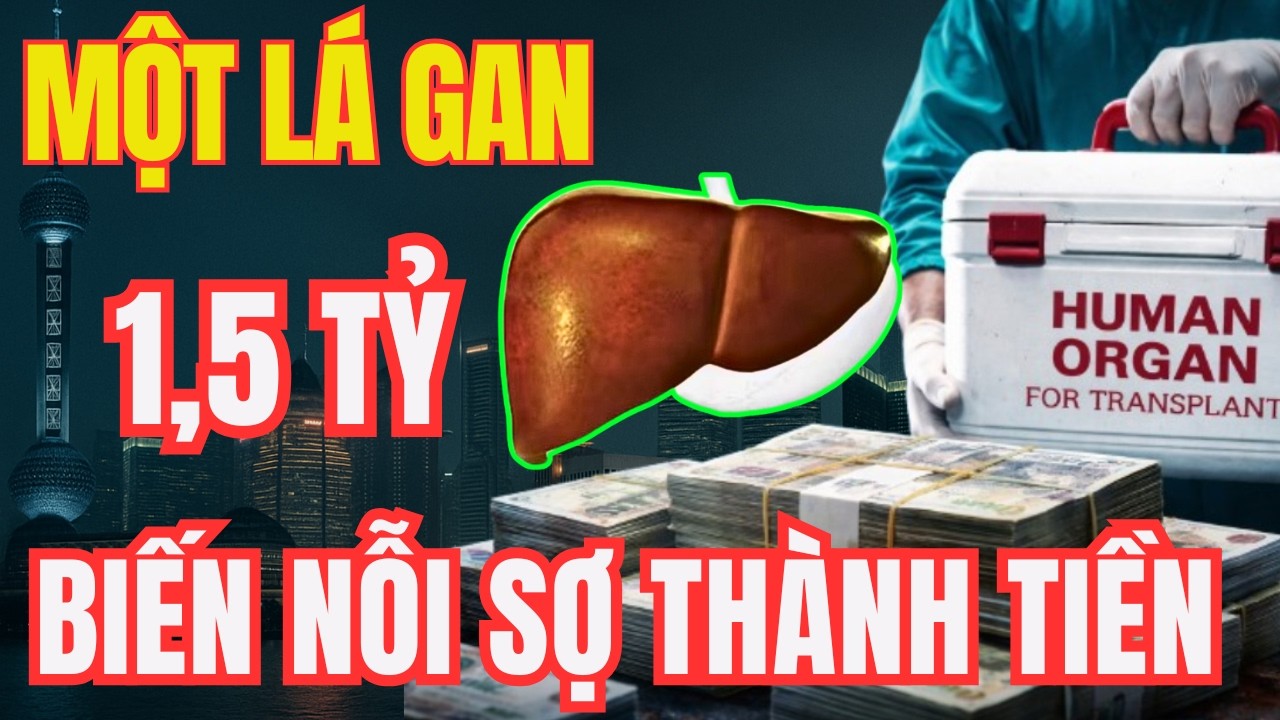 1,5 Tỷ Cho Một Lá Gan: Biến Nỗi Sợ Thành Tiền Và Thủ Đoạn Sau 2 Chữ 