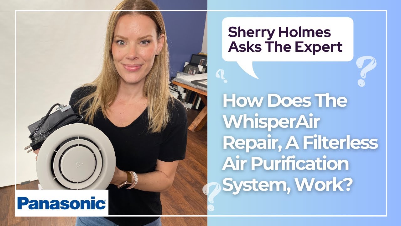 BEST AIR CLEANER - How Does Panasonic WhisperAir Repair Work?