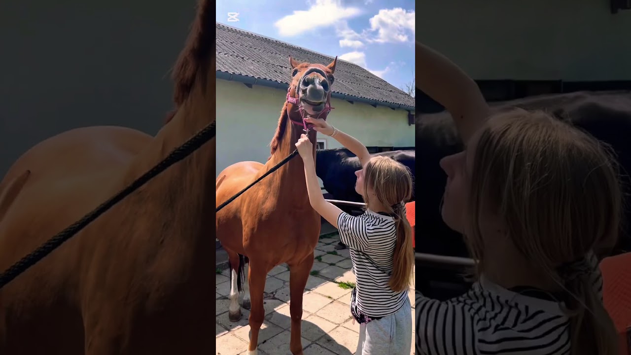 Letni vlog z stajni🌾✨tęsknicie już za latem?☀️#summer #horse #jazdakonna #stablelife #spaday