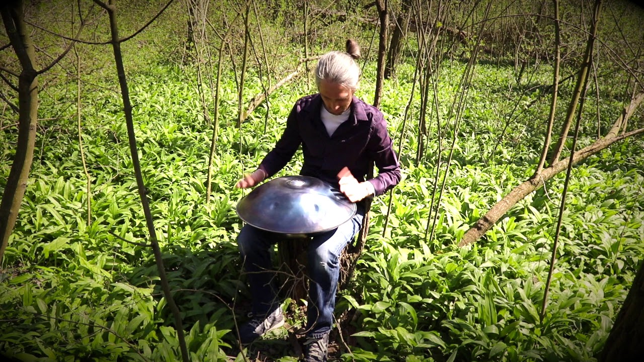 Robin Gillard - Allium