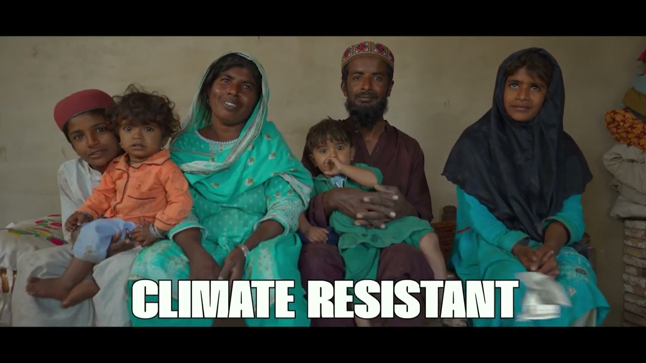 Building a Safer Future | Sindh's Flood-Resistant Homes | Sindh Development