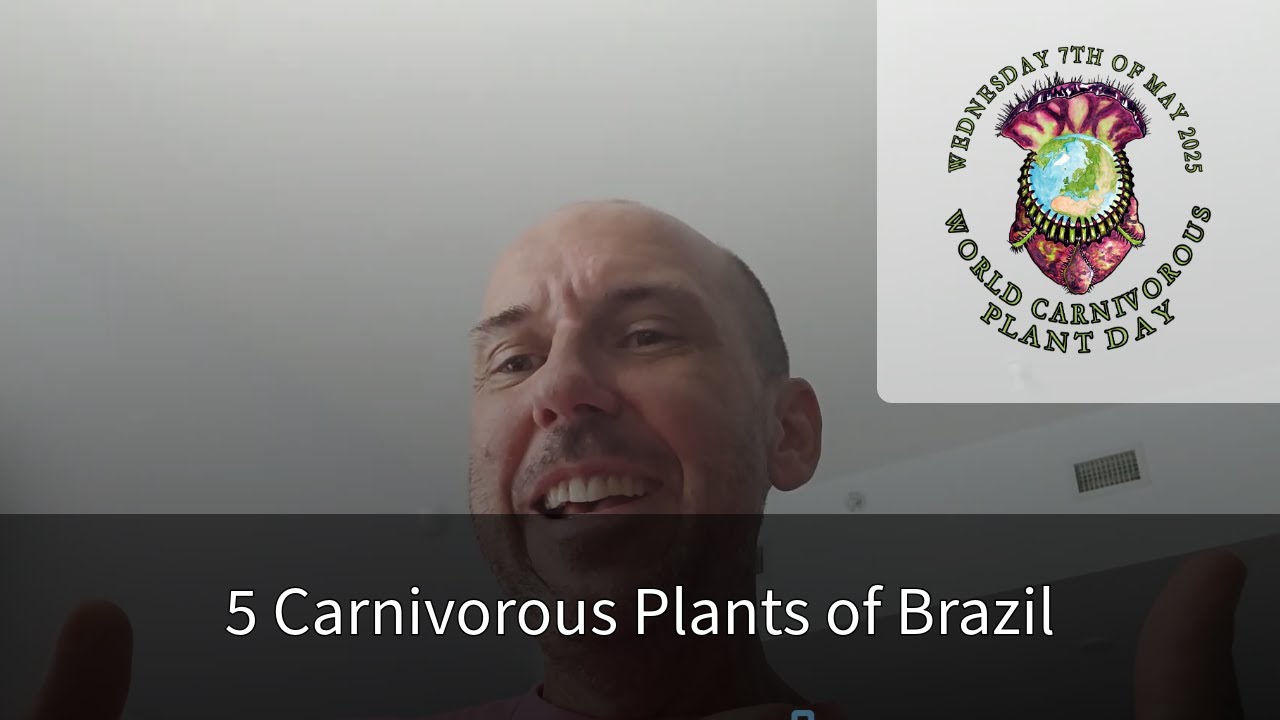 5 Carnivorous Plants You Can See in Brazil (if you're lucky!) with Fernando Rivadavia