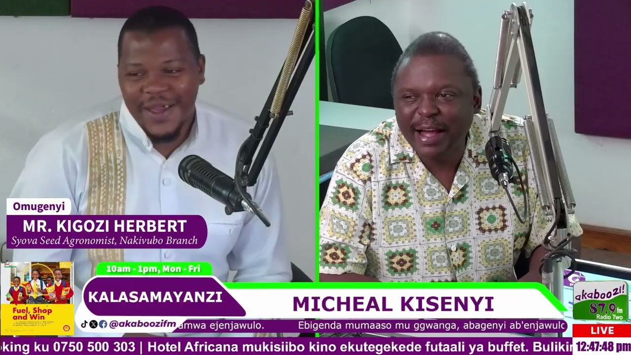 YIGA ENIMA Y'ENNYANYA  EY'OMULEMBE ne KIGOZI HERBERT | (Syova Seed Agronomist, Nakivubo | 09.03.2026